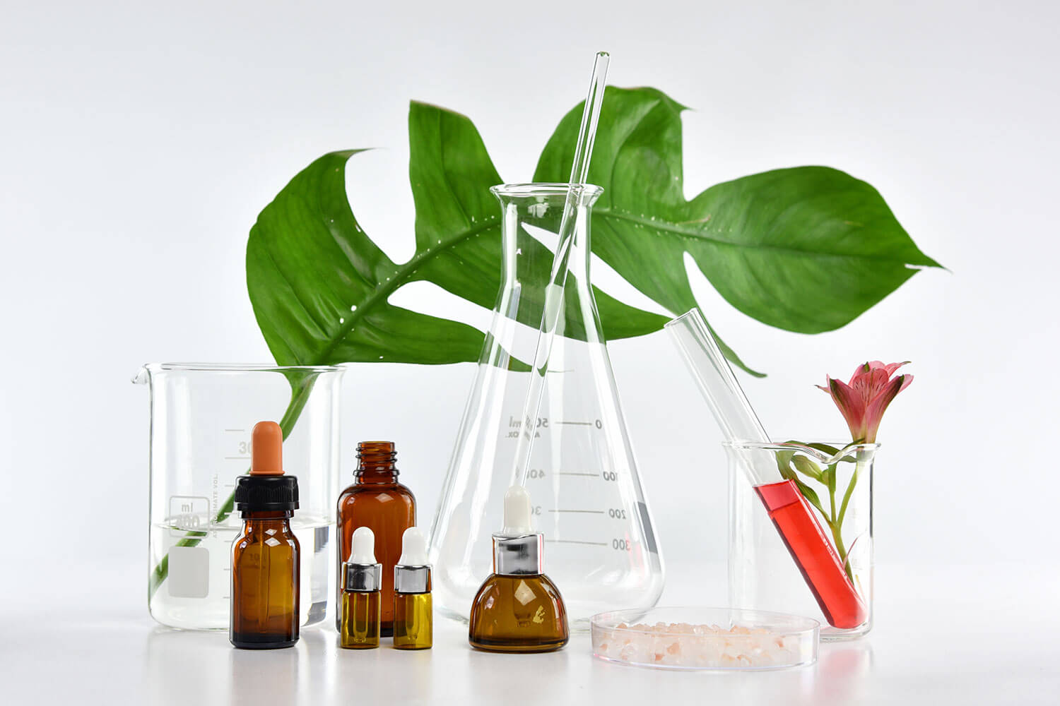 PARVUS® — THE SCIENCE OF BEAUTY™